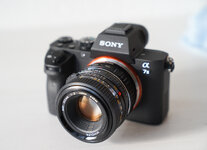 Sony _A7 II-8.jpg