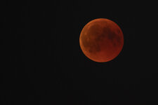 BloodMoonBonn2018_N5A8269.jpg