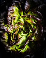 martin willmann foodfotograf salat macro dark mood overhead.jpg