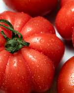 martin willmann fotografie rote tomate close up IG.jpg