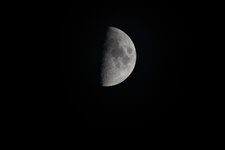 Mond-Original_SA98178.jpg