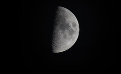 Mond-50pro_SA98178.jpg