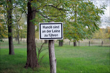 test_S5_52.jpg