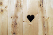 test_S5_58.jpg