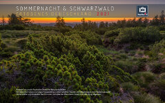 Schwarzwald-Sommernacht-Teaser-2021.jpg