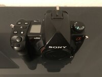 Bild von iOS (13).jpg