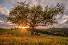 Landschaft-und-Natur010b-HDR-Bearbeitet-2.jpg