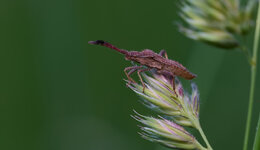 DSC_3531.jpg