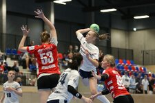 comp_U17 Finale TV Hannover-Badenstedt vs HSG Blomberg-Lippe-3782.jpg