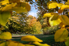 2020-10-24 15-17-45 Herbstimpressionen an den Elbschlössern.jpg