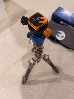 IMG_2659D.jpeg