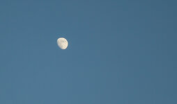 90mm Mond.jpg