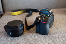 Nikon Z50+FTZ (5).jpg