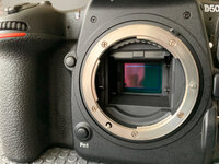 Nikon D500-3.jpg