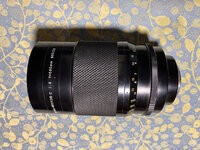 20221105-Nikon Reflex 1.jpg
