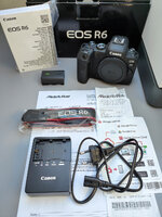 Canon EOS R6 (1).jpg