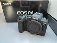 Canon EOS R6 (2).jpg