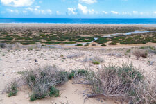230112 - 001 - Fuerteventura Beach.jpg