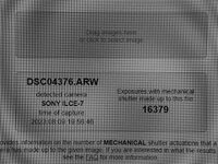 Sony A7-1130435.jpg