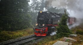 comp_Brockenbahn-2949.jpg