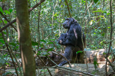 20190625_122642_rwanda_uganda_781.jpg