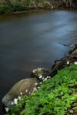 FC_A90B4046.jpg