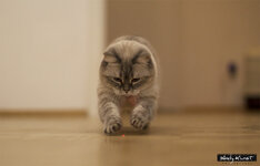 EOS 50D_08140_11_13_2014.jpg