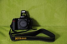 Nikon D80 a1.JPG