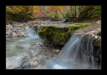 Herbst4-1.JPG