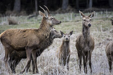 20160327Nachsee.jpg