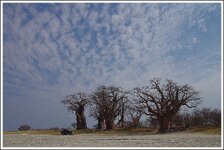 Bains Baobab.jpg